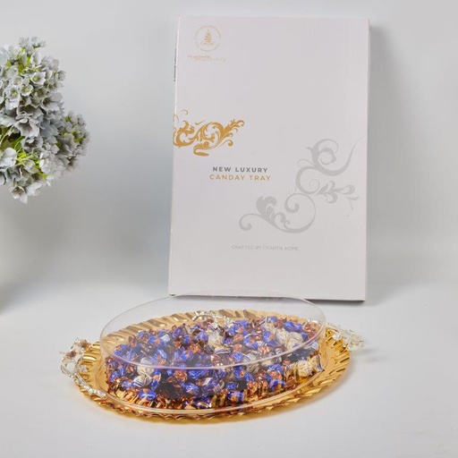 [HJ1009] Serving Tray with Acrylic Cover